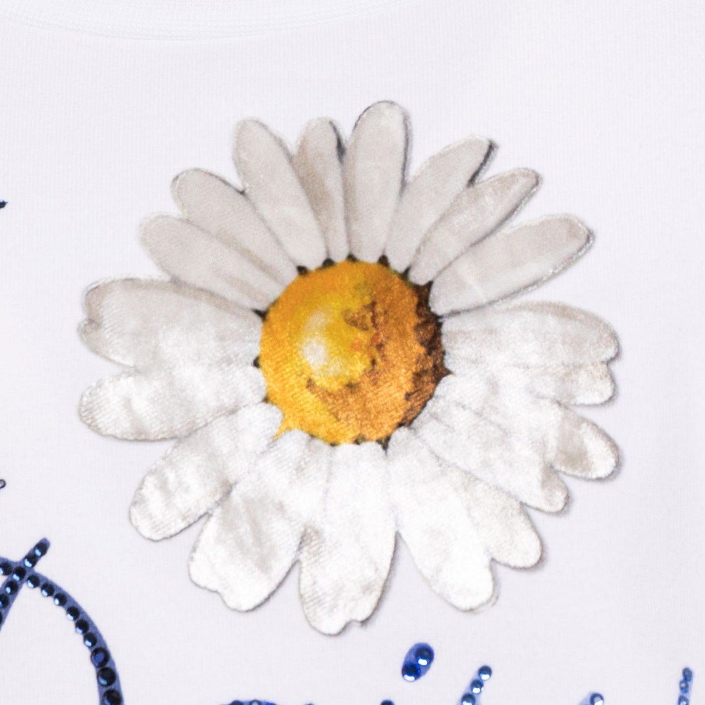 Closed daisy sweatshirt