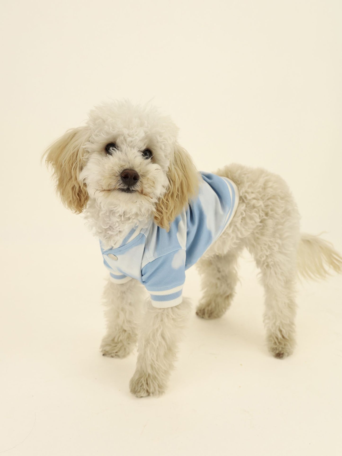 Dog onesie with allover cloud print
