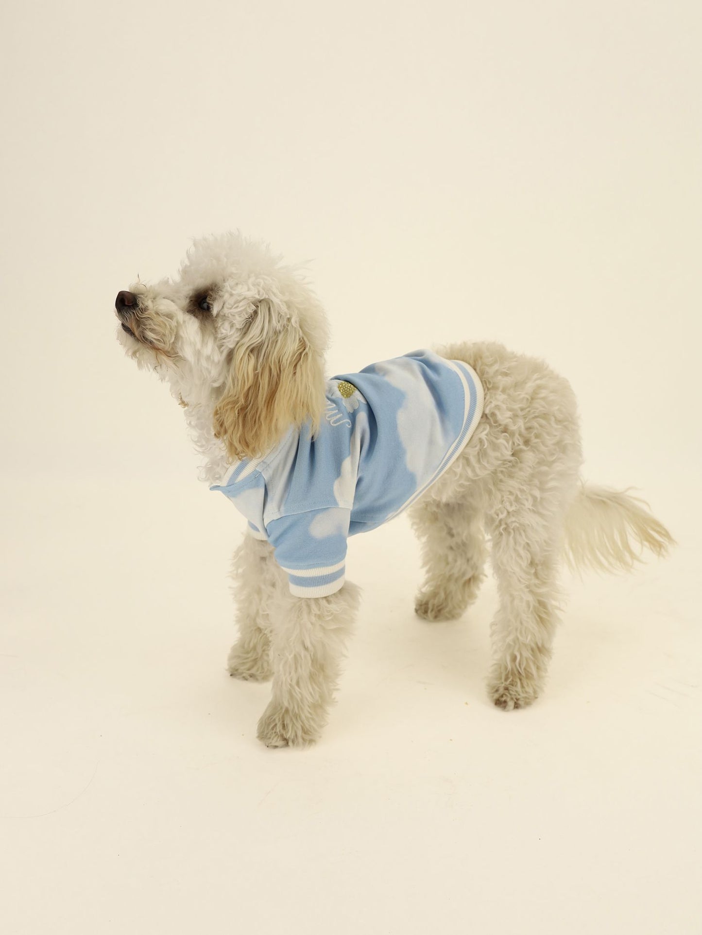 Dog onesie with allover cloud print