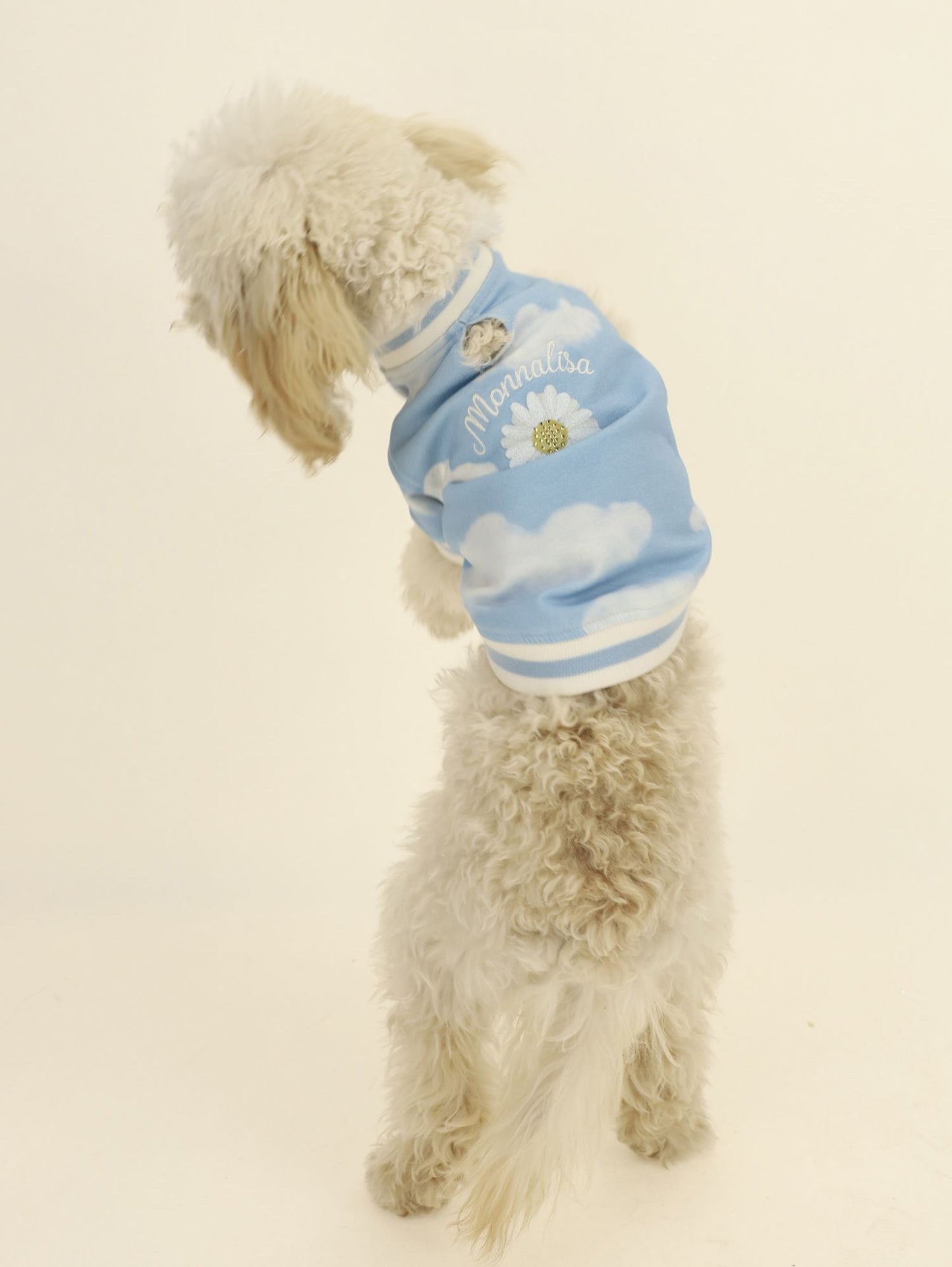 Dog onesie with allover cloud print