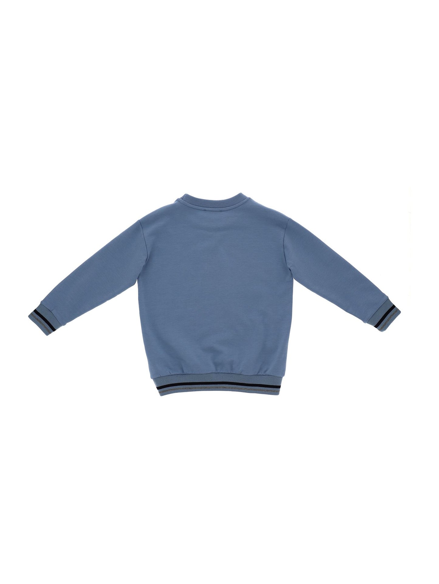 Cotton sweatshirt with Paris print