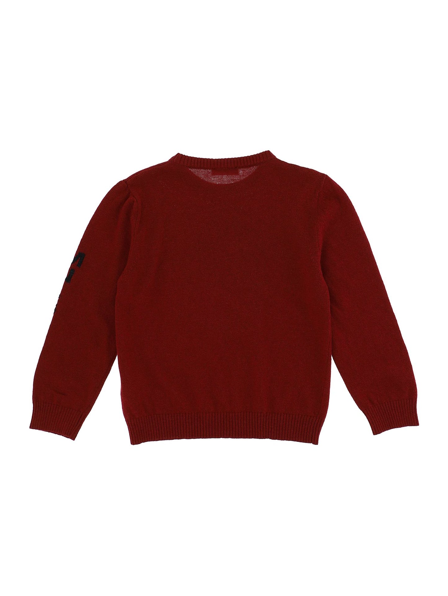 Cashmere blend sweater with character inlay