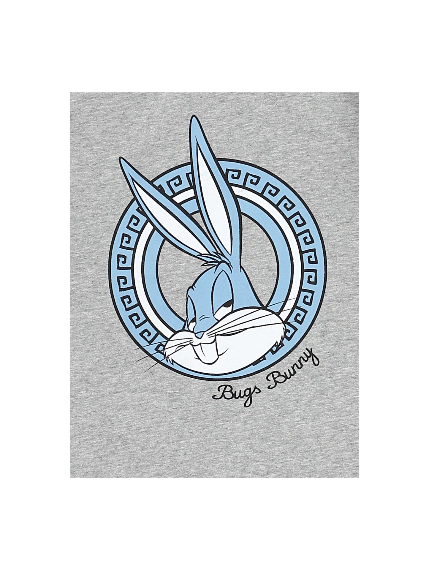 Looney Tunes jersey T-shirt