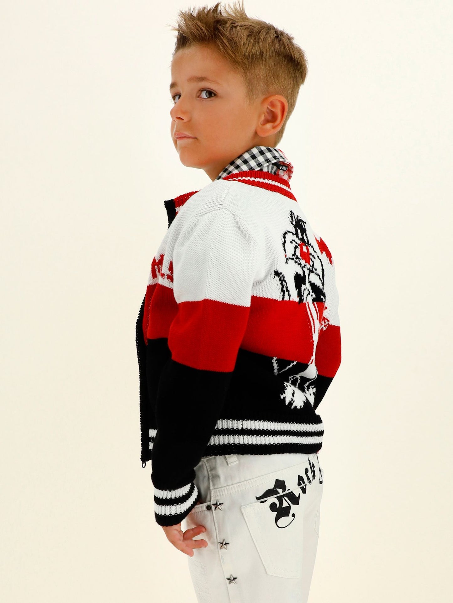Sylvester the Cat cardigan with colored bands