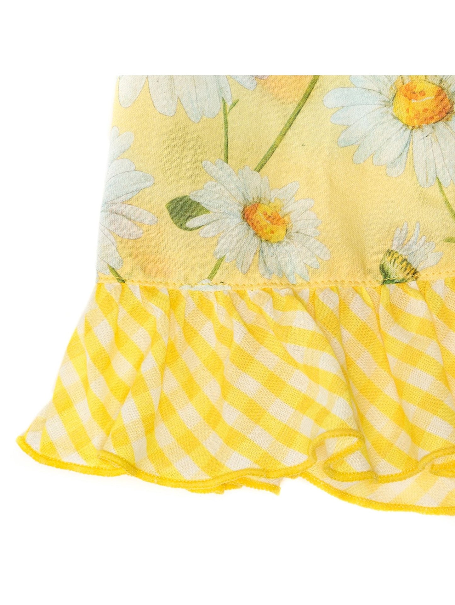 Seaside daisy pareo