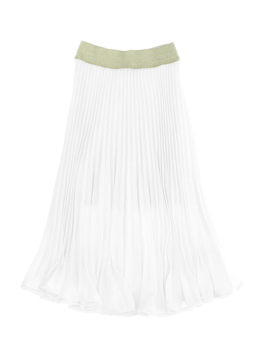 Pleated georgette skirt