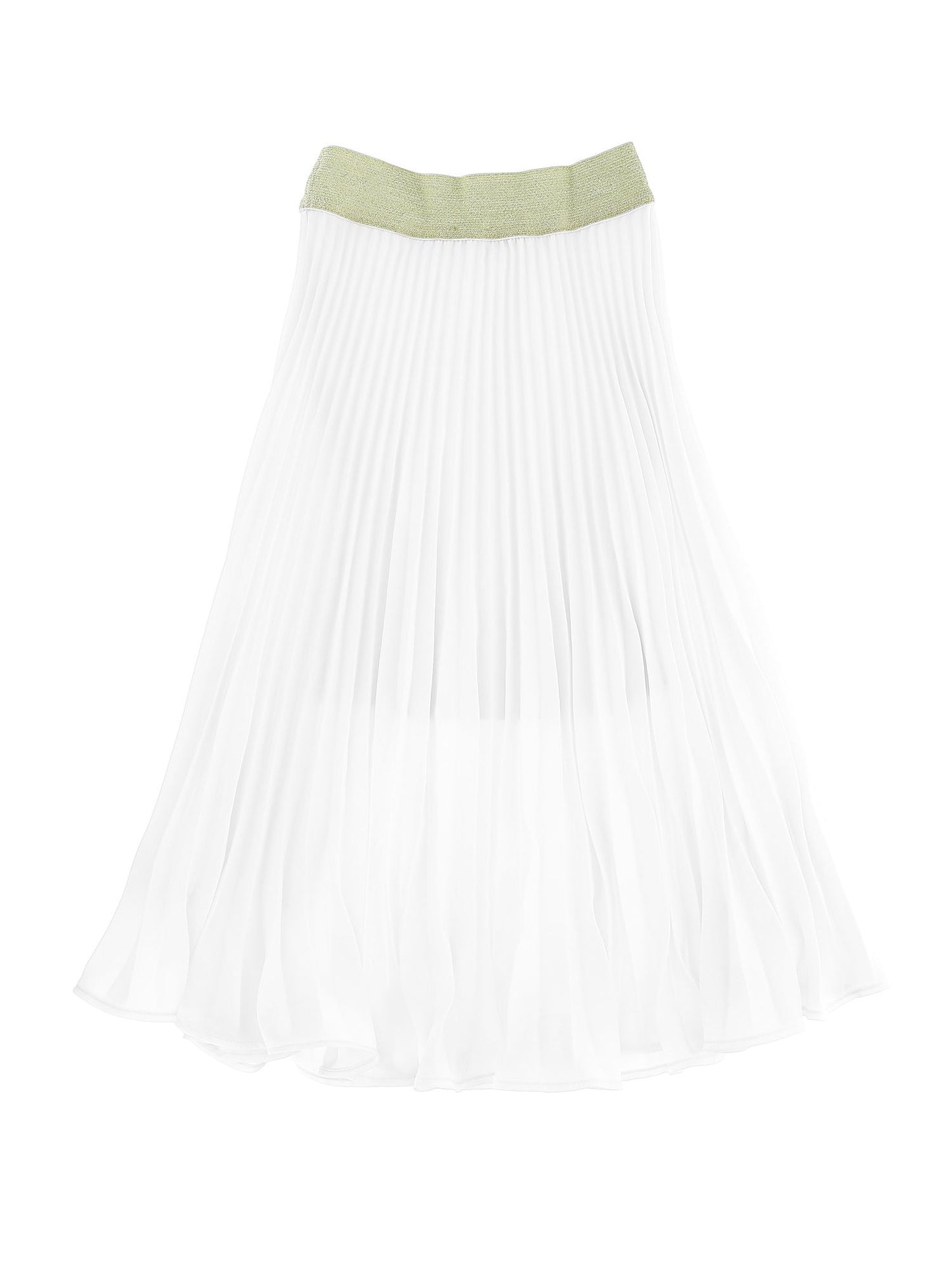 Pleated georgette skirt