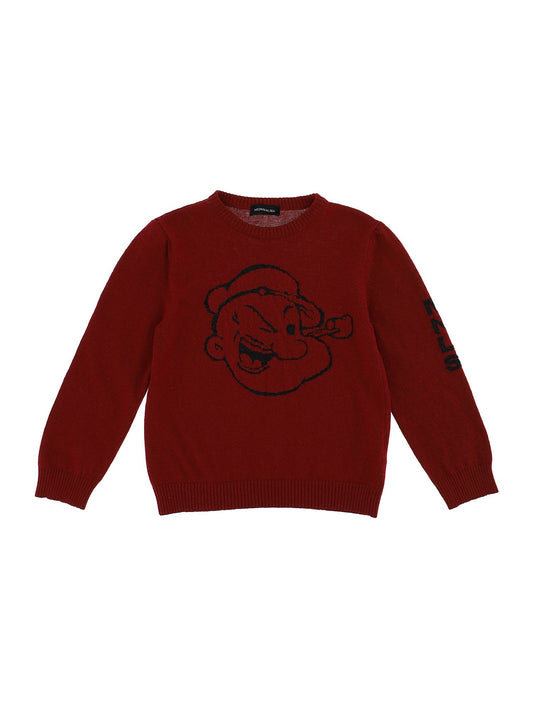 Cashmere blend sweater with character inlay