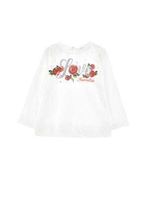 Descriptive image text