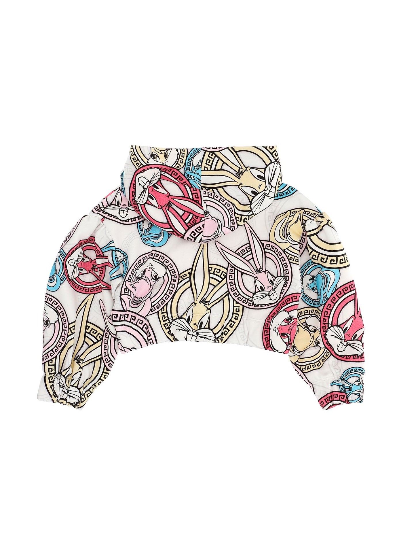 Looney Tunes Hoodie Sweatshirt